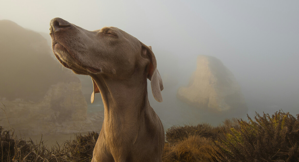 Egy kellemetlen testszagú, leheletű kolléga kényes kérdéseket vet fel