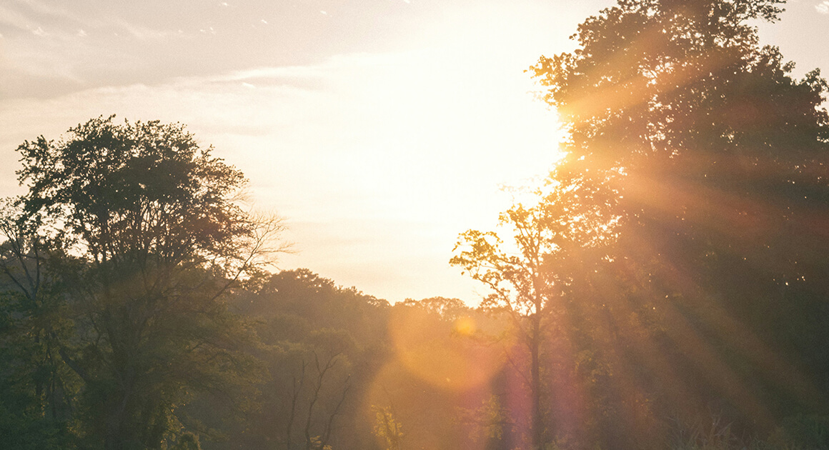 A vezető születésnapja
